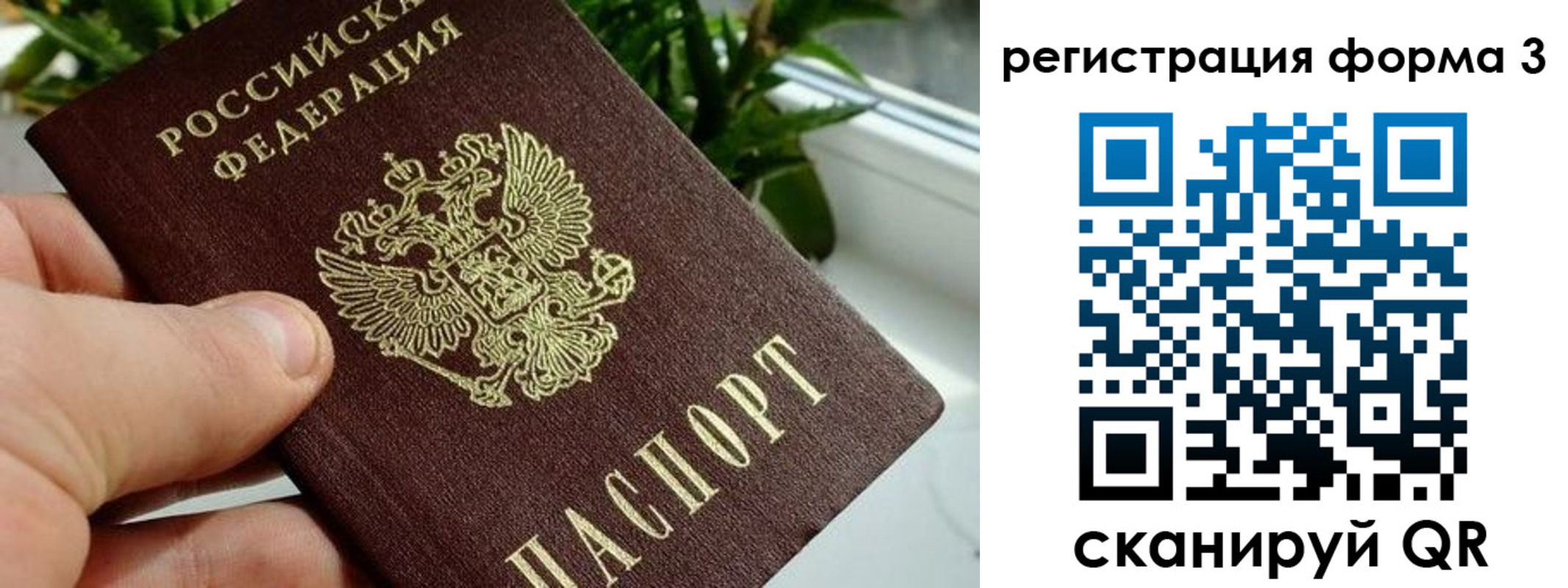 прописка штамп в Кашине